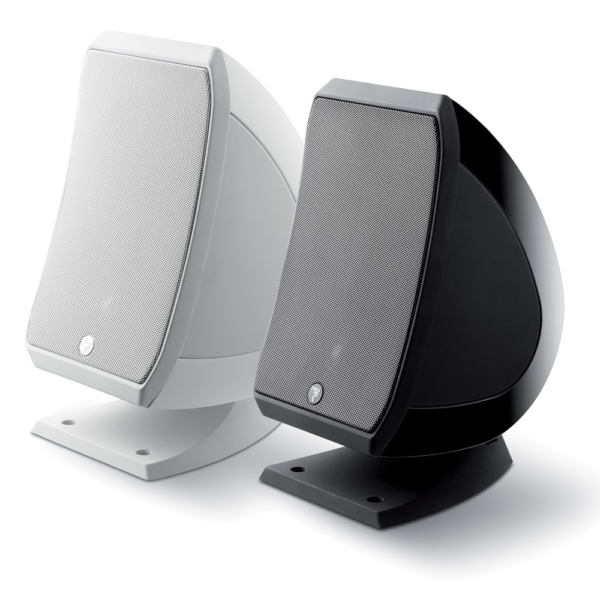 focal SIB