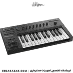 NATIVE-INSTRUMENTS-A25