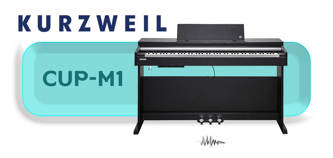 Kurzweil-CUP-M1