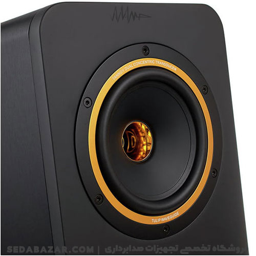 TANNOY-GOLD-5-04