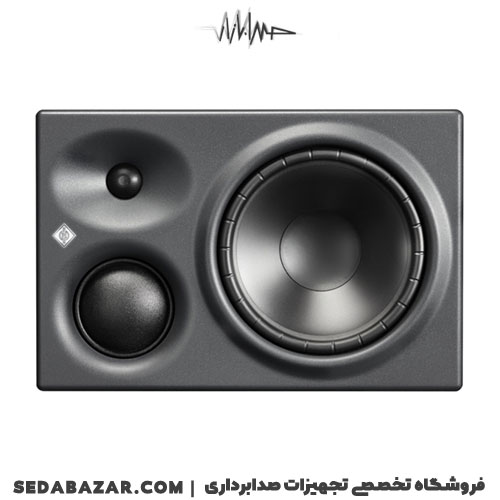 neumann-310a-03